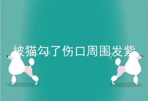 被猫勾了伤口周围发紫