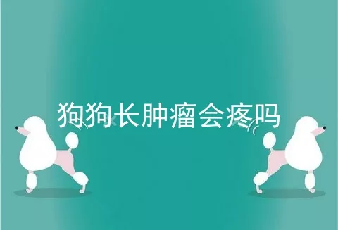 狗狗长肿瘤会疼吗