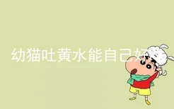 幼猫吐黄水能自己好吗