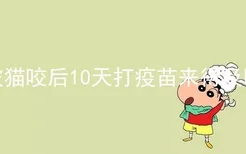 被猫咬后10天打疫苗来得及吗