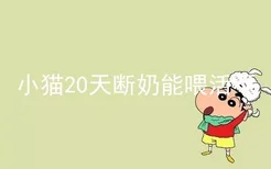 小猫20天断奶能喂活不