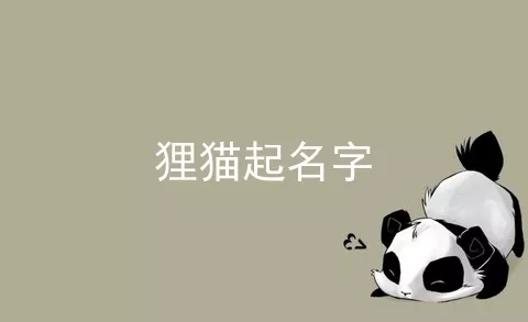 狸猫起名字