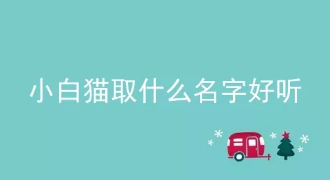 小白猫取什么名字好听