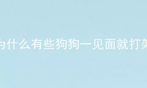 为什么有些狗狗一见面就打架