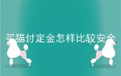 买猫付定金怎样比较安全