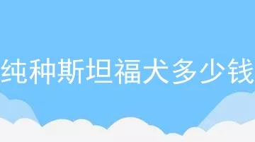 纯种斯坦福犬多少钱