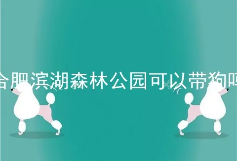 合肥滨湖森林公园可以带狗吗