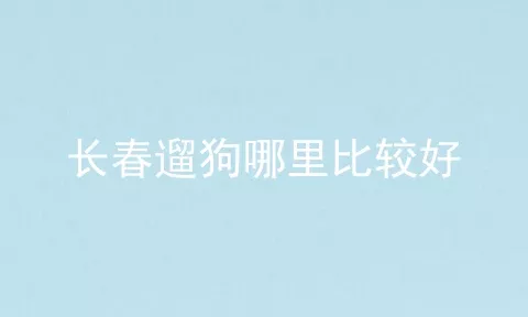 长春遛狗哪里比较好