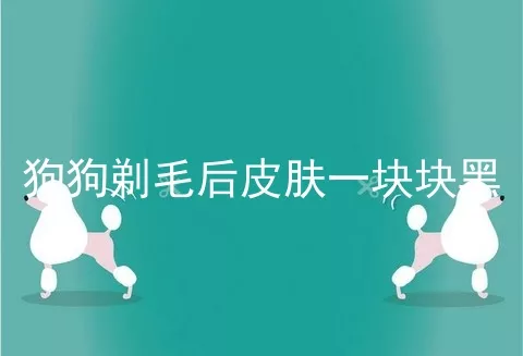 狗狗剃毛后皮肤一块块黑