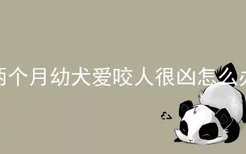 两个月幼犬爱咬人很凶怎么办