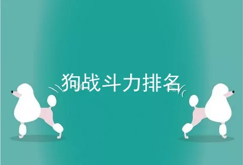 狗战斗力排名