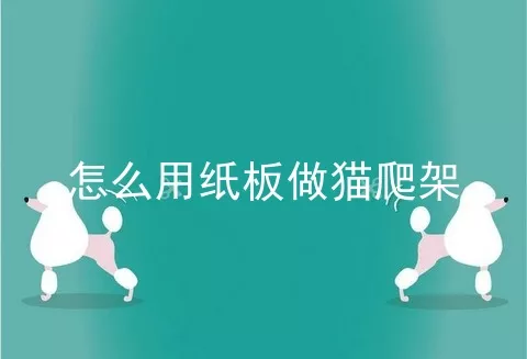 怎么用纸板做猫爬架