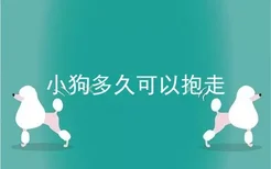 小狗多久可以抱走