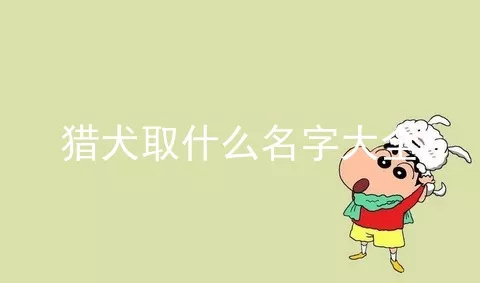 猎犬取什么名字大全