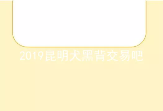 2019昆明犬黑背交易吧