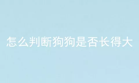 怎么判断狗狗是否长得大