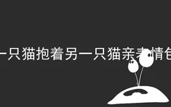 一只猫抱着另一只猫亲表情包