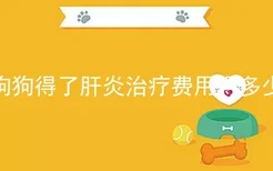 狗狗得了肝炎治疗费用得多少