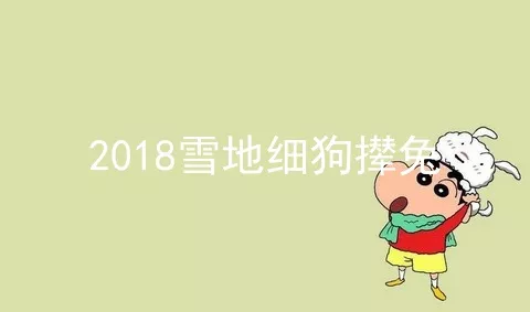 2018雪地细狗撵兔