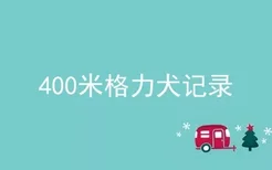 400米格力犬记录