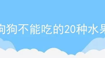 狗狗不能吃的20种水果