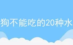 狗狗不能吃的20种水果