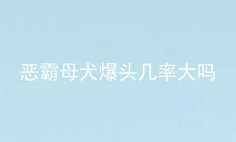 恶霸母犬爆头几率大吗