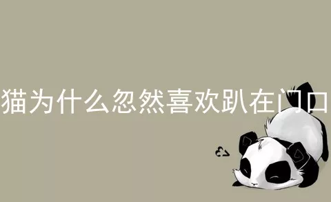 猫为什么忽然喜欢趴在门口