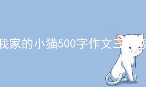 我家的小猫500字作文三年级