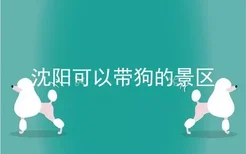 沈阳可以带狗的景区