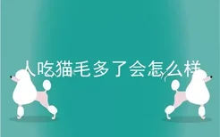 人吃猫毛多了会怎么样