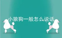 小狼狗一般怎么说话