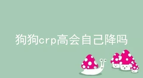 狗狗crp高会自己降吗