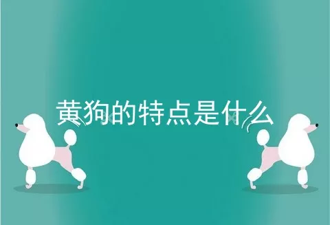 黄狗的特点是什么