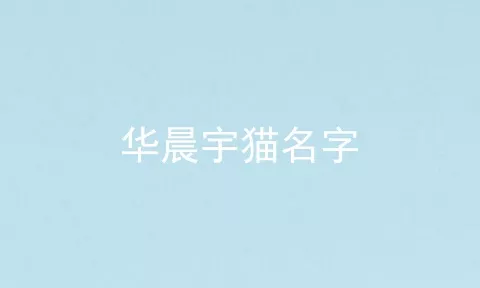 华晨宇猫名字