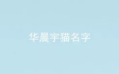 华晨宇猫名字