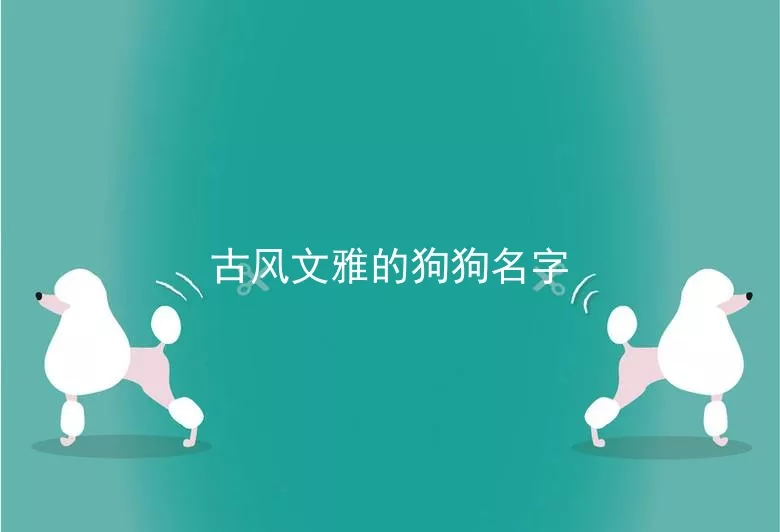 古风文雅的狗狗名字