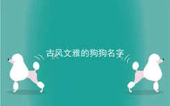 古风文雅的狗狗名字