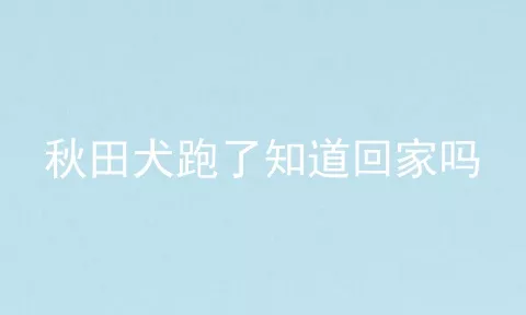 秋田犬跑了知道回家吗