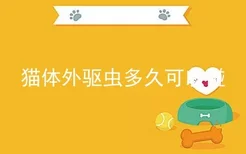 猫体外驱虫多久可以碰