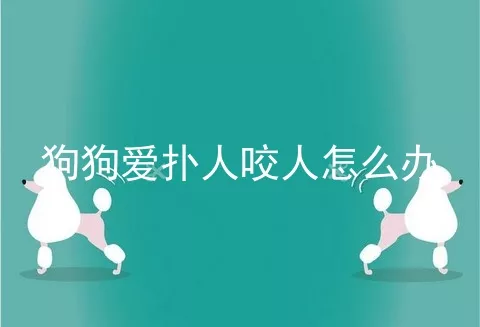 狗狗爱扑人咬人怎么办