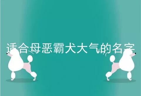 适合母恶霸犬大气的名字