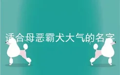 适合母恶霸犬大气的名字