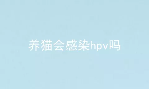 养猫会感染hpv吗