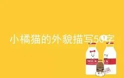 小橘猫的外貌描写50字