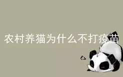 农村养猫为什么不打疫苗