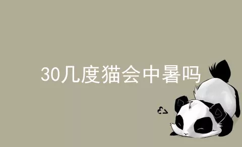 30几度猫会中暑吗