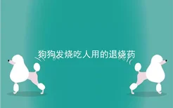 狗狗发烧吃人用的退烧药