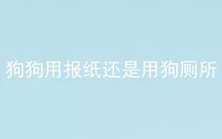 狗狗用报纸还是用狗厕所