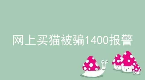 网上买猫被骗1400报警